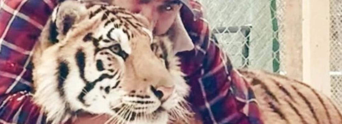 Zohaib Masood avec un tigre qu’il gardait dans sa propriété.