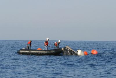 Une équipe de sauvetage aide à libérer une baleine franche empêtrée dans un engin de pêche. (Photo gracieusement fournie par la photothèque de la NOAA, via Wikimedia Commons.) Une équipe de sauvetage aide à libérer une baleine franche empêtrée dans un engin de pêche. (Photo gracieusement fournie par la photothèque de la NOAA, via Wikimedia Commons.)