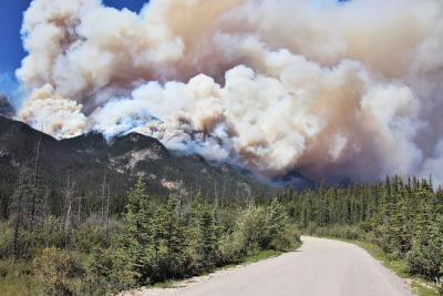 Des incendies de forêt dévastateurs ont ravagé le parc national Jasper cet été. (Photo via X.) Des incendies de forêt dévastateurs ont ravagé le parc national Jasper cet été. (Photo via X.)